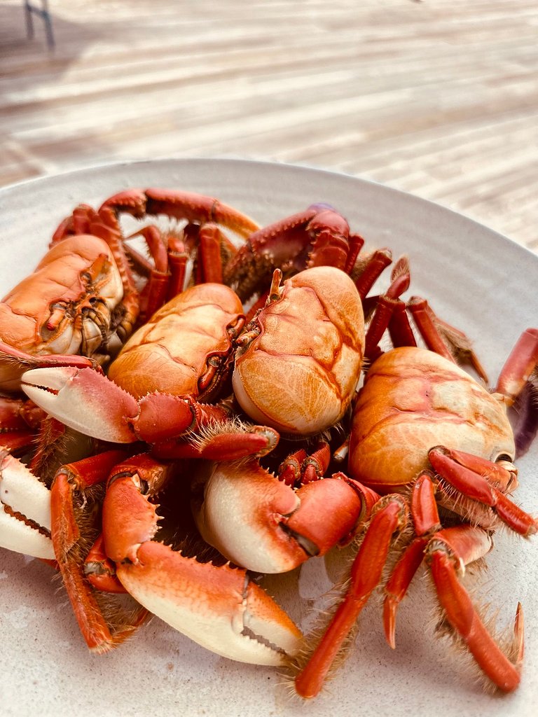 Área tranquila, 600m da praia, até 12 pessoas