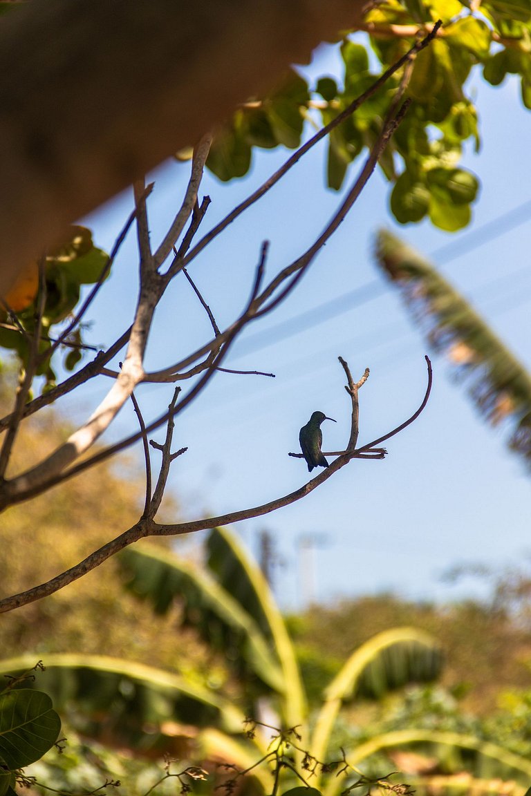 Casa aconchegante e tranquila em BG para até 18 pessoas